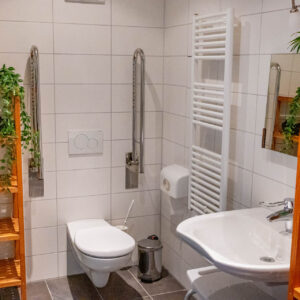 Behindertengerechtes Zimmer mit barrierefreier Ausstattung - Hotel Seenario